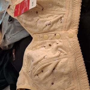 Front closure bras